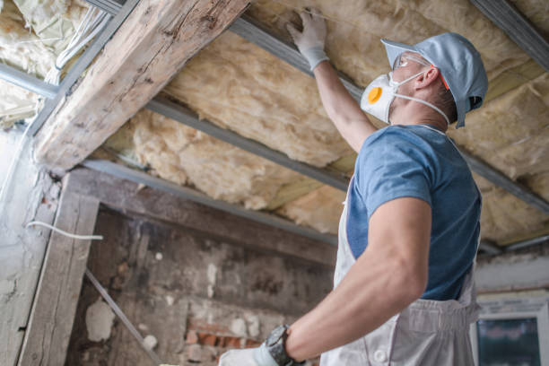 Best Specialized Insulation Services in Mariemont, OH