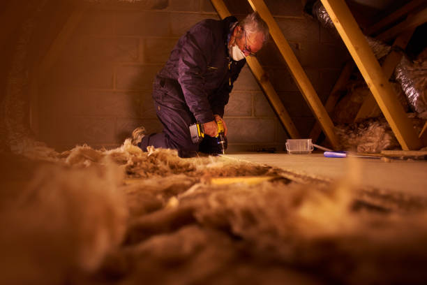 Best Cellulose Insulation in Mariemont, OH
